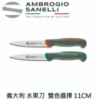 在飛比找PChome24h購物優惠-【SANELLI AMBROGIO 山里尼】TECNA蔬果刀