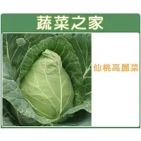 在飛比找蝦皮購物優惠-【蔬菜之家滿額免運】B09.仙桃高麗菜種子100顆(仙桃甘藍