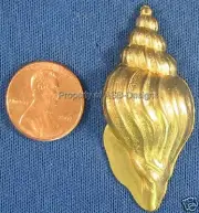 6pc Raw Brass Nautical Conch Snail Shell Finding 5431