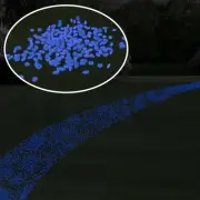 Garden Stones-200 Count Glow in the Dark Solar Pathway Pebble Lights-Decorative