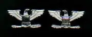 Pair Colonels Eagles Rank Insignia half size 1/2 size USA Made Silver colored