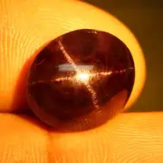 16.40 CT Amazing 4 RAYS ! Reddish Brown 100% Natural Star Garnet Cabochon