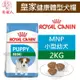 毛家人-ROYAL CANIN法國皇家．SHN健康體型犬系列【MNP小型幼犬】2公斤(原APR33)