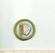 EF SCOUT BSA FOOD SYSTEMS MERIT BADGE TYPE H PLASTIC BACK INSIGNIA PATCH MB !!!!