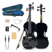 4 string Electric Acoustic Violin 4/4 size with Ebony fittings for Beginners
