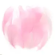 Colorful Feathers 3-5inch, 300pcs Goose Feathers Bulk, White/Pink