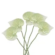 5Pcs 13" Artificial Anthurium Lily Flowers Floral Bouquet Decor, Light Green
