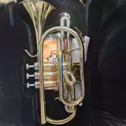 Cornet E100 Alto Trumpet Lacquered Gold Brass Jazz Instrument withAccessory Case