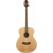 Ashton JJR20 NTM Acoustic Guitar