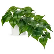 Artificial Plants Potted Fake Plants in White Ceramic Pot Faux Pothos Haning