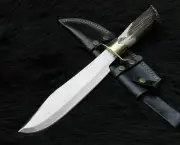Premium Handmade D2 Steel Hunting Bowie Knife with Stag Handle with Scabbard