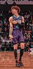 Classic Sports Prints - LaMelo Ball - Hornets - Ready2Hang - Canvas print!