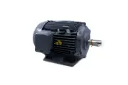 FAN MOTOR 2.2KW 3 W:1020278 W:2165338 380-440V 4P 2.2KW TFO-K DAIKIN PN 4023095