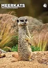 Meerkats Calendar 2026