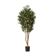 [James Lane] Ficus Tree Green - 90cm x 90cm x 180cm