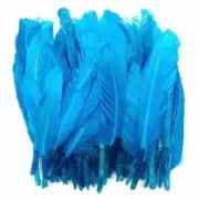 Tiny Goose Pointer Feathers 10 grams - Turquoise
