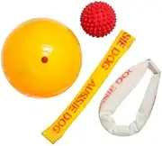 Puppy Pack Large - Safe, Durable Dog Toy Starter Kit