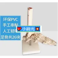 在飛比找蝦皮購物優惠-優選# ##腳關節模型腳骨模型腳部骨骼結構造模型足部踝關節無