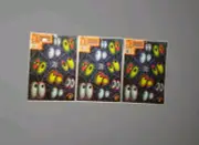 Vintage Dimensional Window Clings Pumpkin Patch Halloween New Set Of 3 1997
