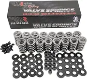 Brian Tooley Racing BTR LS .660" Dual Valve Springs Platinum Kit with Retainers SK001 (Steel)