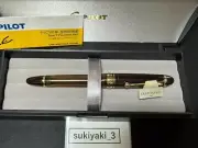 Pilot FKK-3MRP-BN-M Custom 823 Nib M 14K No.15 Plunger Type Brown Fountain Pen