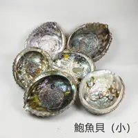 在飛比找蝦皮商城精選優惠-鮑魚貝殼 鮑魚貝 (Abalone Shell) ~可用來燒