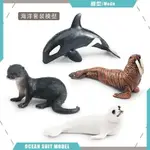 ♚樂樂屋♚仿真海洋生物動物模型虎鯨海象水獺白色海狗兒童玩具手辦擺件