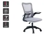 Ovela Student Mesh Office Chair (Grey)