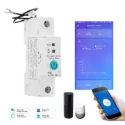 63A eWelink Wifi Smart Circuit Breaker 1P Din Rail Home-Remote Control Switch