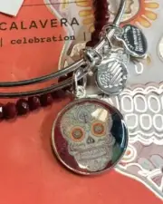 $58 Authentic Alex and Ani AI Calavera Set of 2, Shiny Silver Charm Bangles