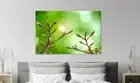 Beautiful Abstract Buds green sunrise Print Home Decor Wall Art choose your size
