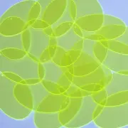 Oval Vinyl Shape 2" Yellow Go Go Fluorescent Edge Glow