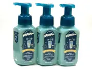 3 BATH & BODY WORKS TRIPLE BERRY COOLER GENTLE & CLEAN FOAMING HAND SOAP 8.75 OZ