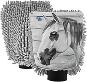 XYMZR Absorbent Microfiber Car Wash Mitt Horse Board Vintage Butterfly, Funny Cute Anime Scratch Free for Cars Cleaning, Home Cleaning Mitts, 2 Pack, 10.24” L x 7.09” W