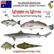 ALL Species Complete, ready to fish Beach Fishing Rig, Tailor, Mulloway, Snapper