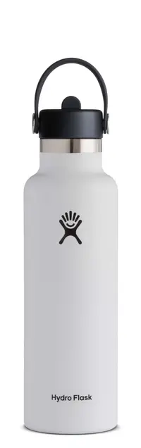 在飛比找誠品線上優惠-Hydro Flask 21oz標準口吸管真空保溫鋼瓶/ 經