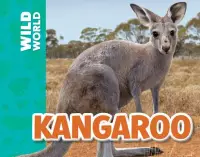 在飛比找博客來優惠-Kangaroo