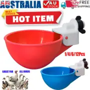 Chicken Watering Cups Poultry Drinker Waterer Duck Geese Turkeys Quail Pigeon NJ