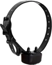 DT Systems DD 700 Add-On Collar Dog Receiver Black Strap MAXX Range