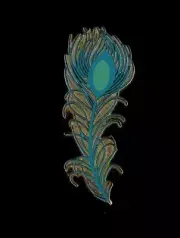 DS Peacock Feather Aladdin Live Action Disney Pin 136711