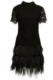 Evening Bliss Lace Feather Dress--MART-MQ8758EB