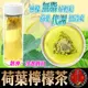【蔘大王】台灣荷葉檸檬茶（6g*10入）解油雙寶 回甘很到位 逆轉人身 新陳代謝很輕鬆 (0.3折)