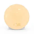 Wake up Light Alarm Clock Sunrise/Sunset Simulation Digital Clock with Night Lig