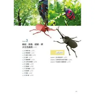 100％超擬真の立體昆蟲剪紙大圖鑑:3D重現！挑戰昆蟲世界！[75折] TAAZE讀冊生活