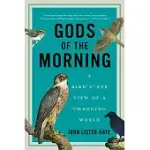 GODS OF THE MORNING: A BIRD’S-EYE VIEW OF A CHANGING WORLD