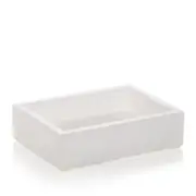 Mike and Ally Ice Soap Dish