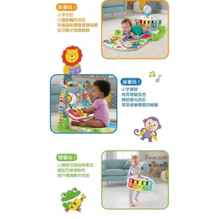 ‖ 浩克寶寶 ‖ ◍ 費雪 Fisher-Price 可愛動物寶寶嬰兒鋼琴健力架 健身器遊戲墊踢踏琴玩具踢踢琴