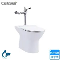 在飛比找momo購物網優惠-【CAESAR 凱撒衛浴】快沖馬桶/管距30(CJN1550