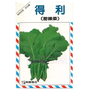 【萌田種子~】H18 甜辣菜種子2公克 , 雪裡紅 , 採收快 , 每包16元~