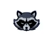 Embroidery patch sew badge iron on glue transfer raccoon